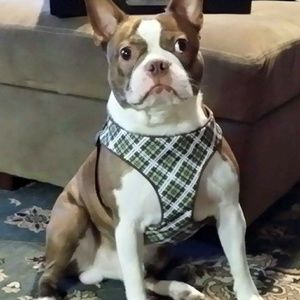 Meet your Posher, Danny